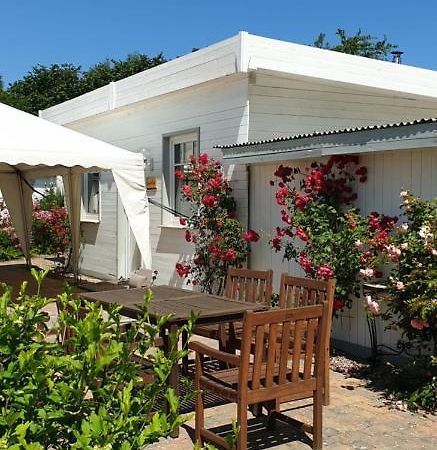 Ferienbungalow Haus Am Teich Boltenhagen  Buitenkant foto