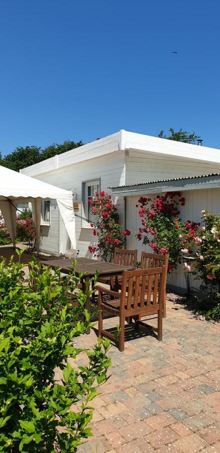 Ferienbungalow Haus Am Teich Boltenhagen  Buitenkant foto